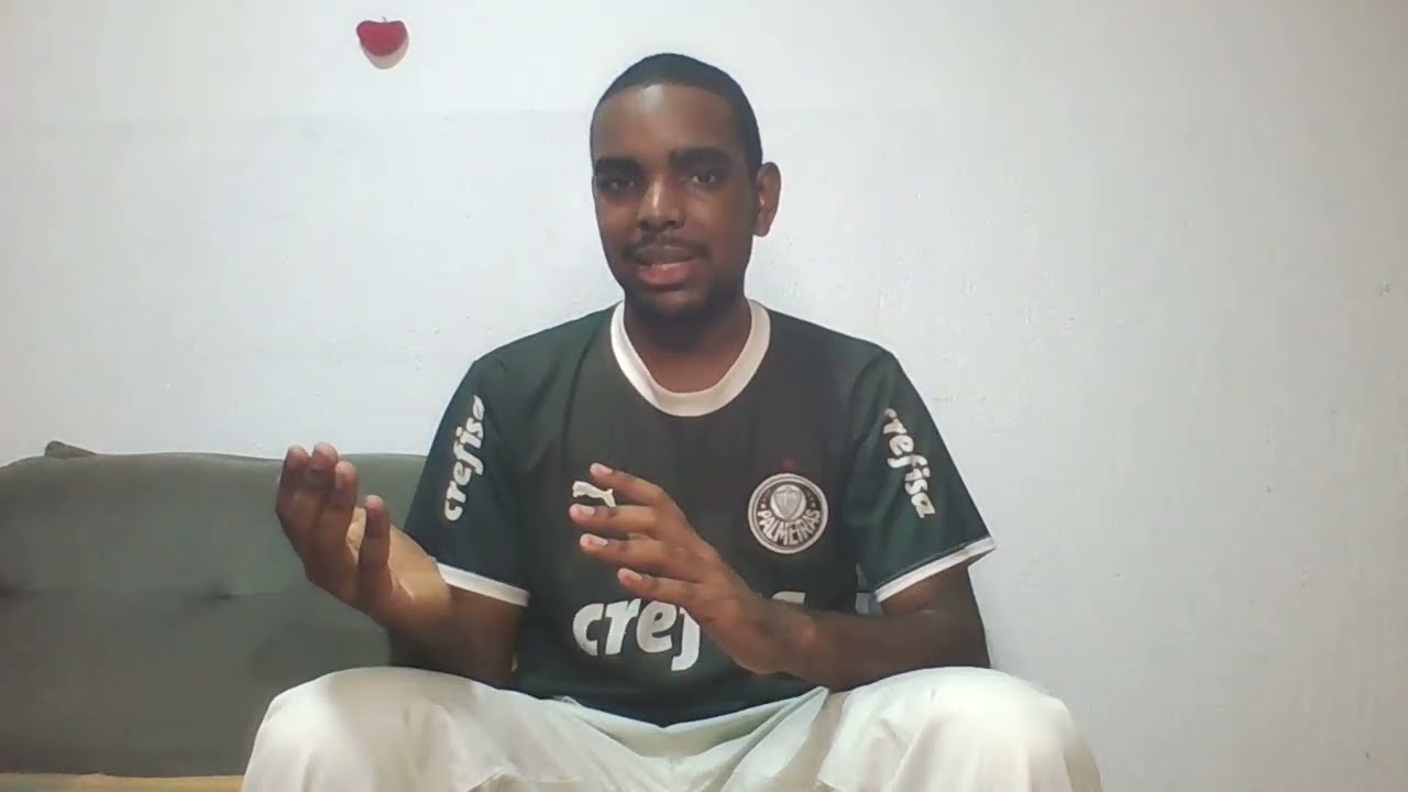 COMO FOI O MÊS DE NOVEMBRO DE 2025 DO CANAL GATOSO CURIOSO??