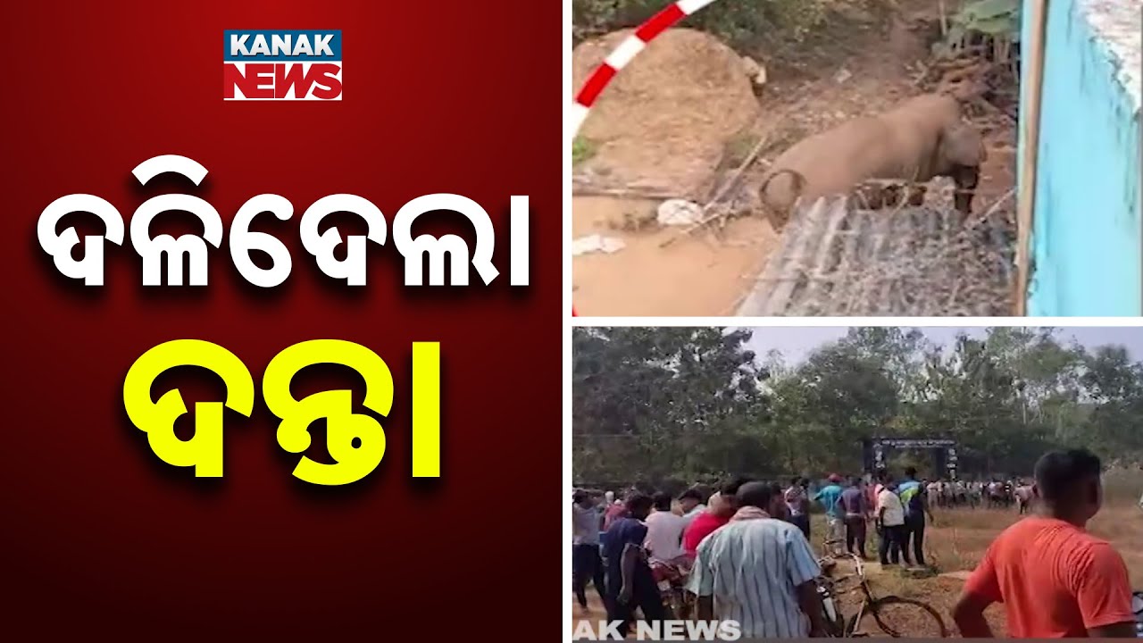 Man Killed In Elephant Attack In Khordha&rsquo;s Begunia | Villagers Protest Forest Dept