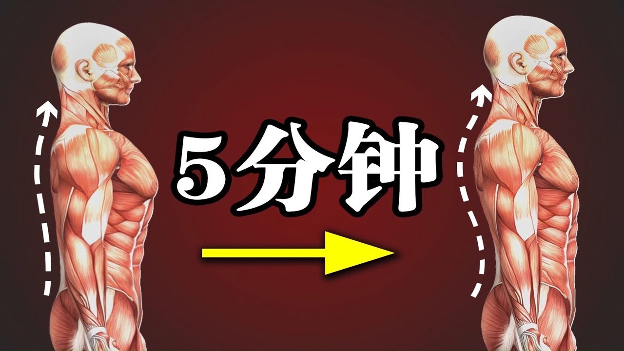 每天锻炼5分钟，有效改善胸椎曲度，一周见效丨Effectively improve the curvature of the thoracic spine