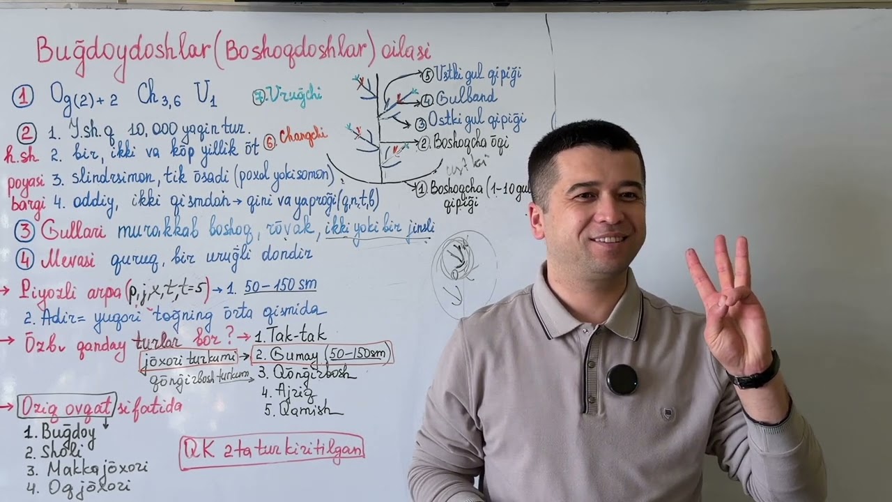 Bug’doydoshlar oilasi va o’simliklarning kelib chiqishi