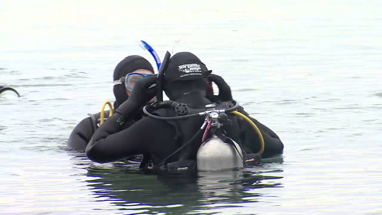 "Soldier On" veterans learn how to scuba dive