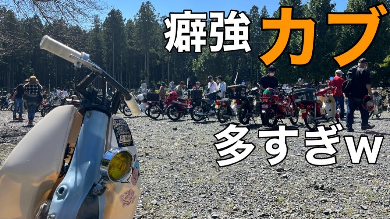 【三重ｶﾌﾞﾐｰﾃｨﾝｸﾞ】ｶﾌﾞﾐｰﾃｨﾝｸﾞに行ったらやばいｶﾌﾞだらけで最高だった！【ｶｽﾀﾑｶﾌﾞ ｶﾌﾞﾇｼ】