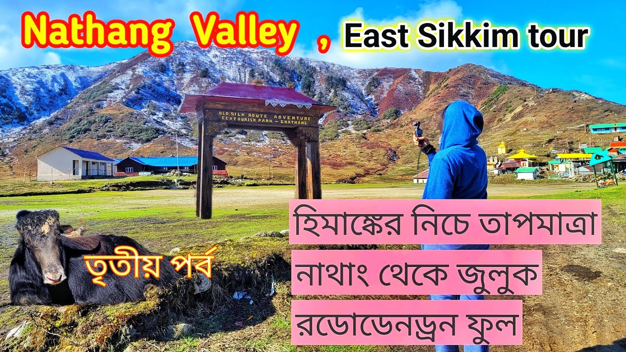 3. Silk Route Tour | Nathang Valley | Snowfall | Zuluk Travel Vlog | Bengali New Year Trip | sikkim