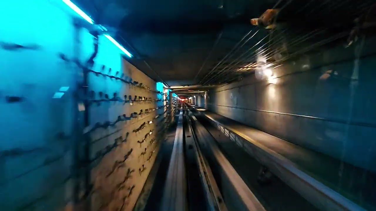 Denver Airport Train (Terminal to Concourse C 6/12/2024)