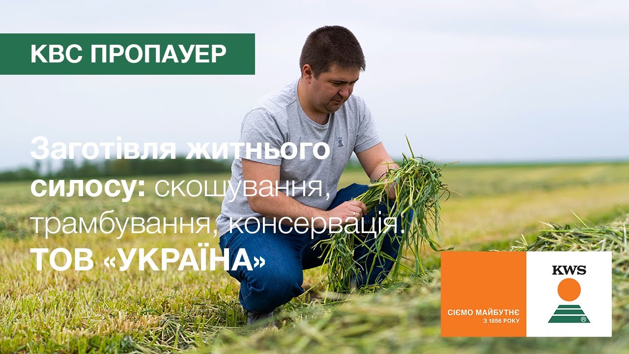 КВС ПРОПАУЕР в ТОВ «УКРАЇНА». Скошування, трамбування, консервація | Заготівля житнього силосу