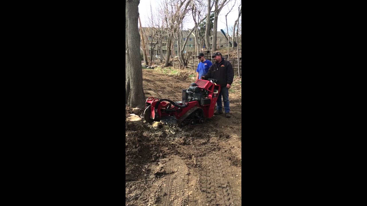 Our Toro STX26 stump grinder makes short work of any stump you can throw at it!
