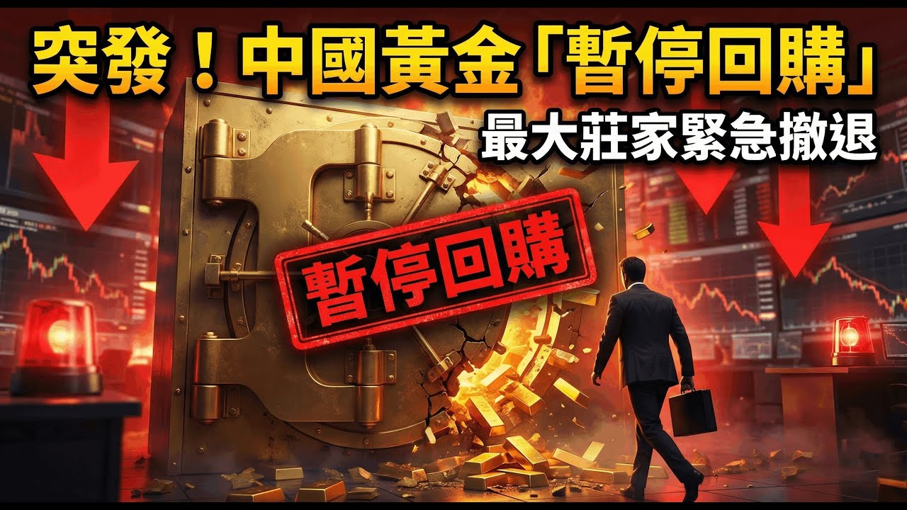 突發熔斷！中國黃金緊急「暫停回購」，最大的莊家開始撤退！你絕對看不懂的危險信號 #黃金 #金融危機 #中國黃金 #流動性陷阱 #金錢先行者