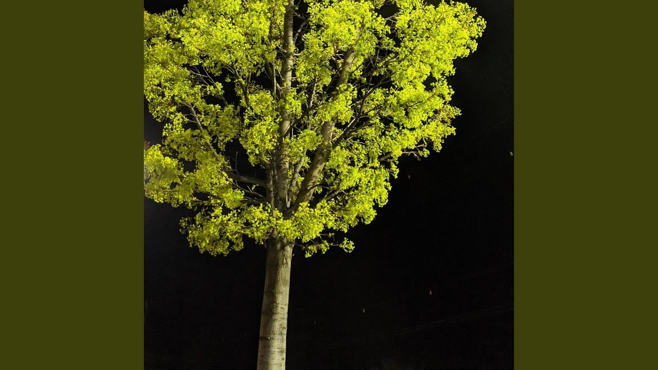 Deflowered