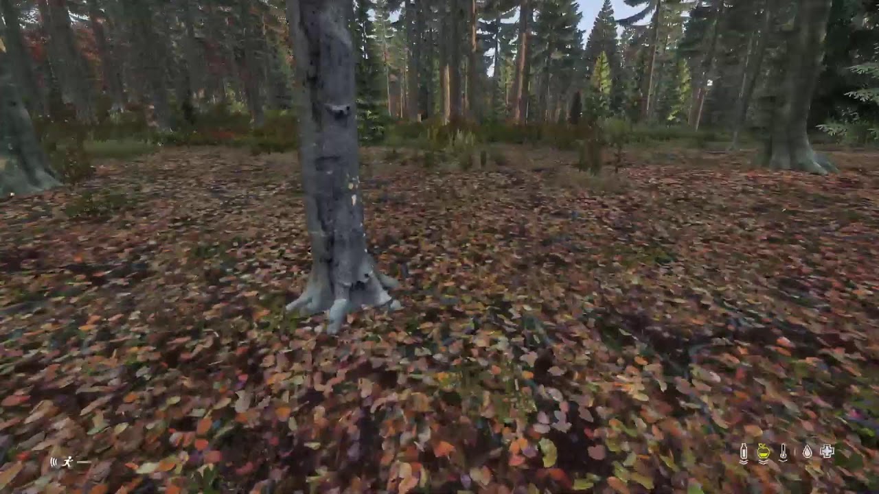 Solo adventure pt 3.5