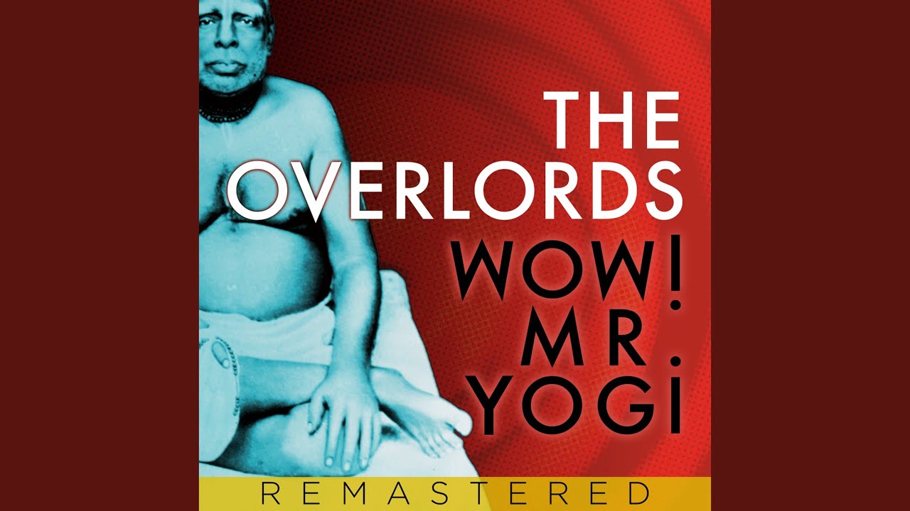 Wow! Mr. Yogi (Higher NRG Remix)