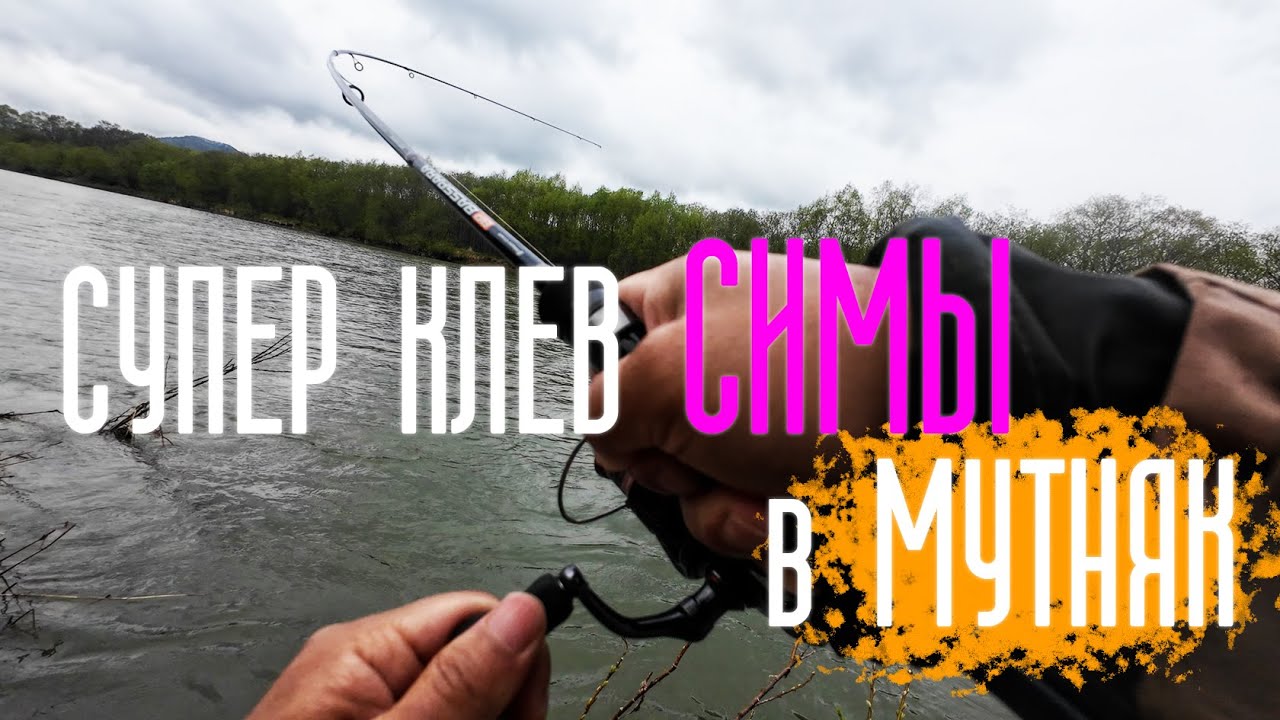 СИМА | БОЛЬШАЯ ВОДА |  Bux 9.3