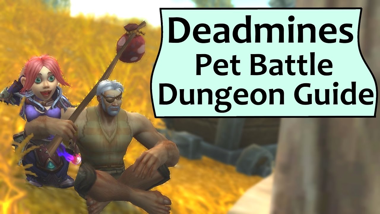 Deadmines Pet Battle Dungeon Guide
