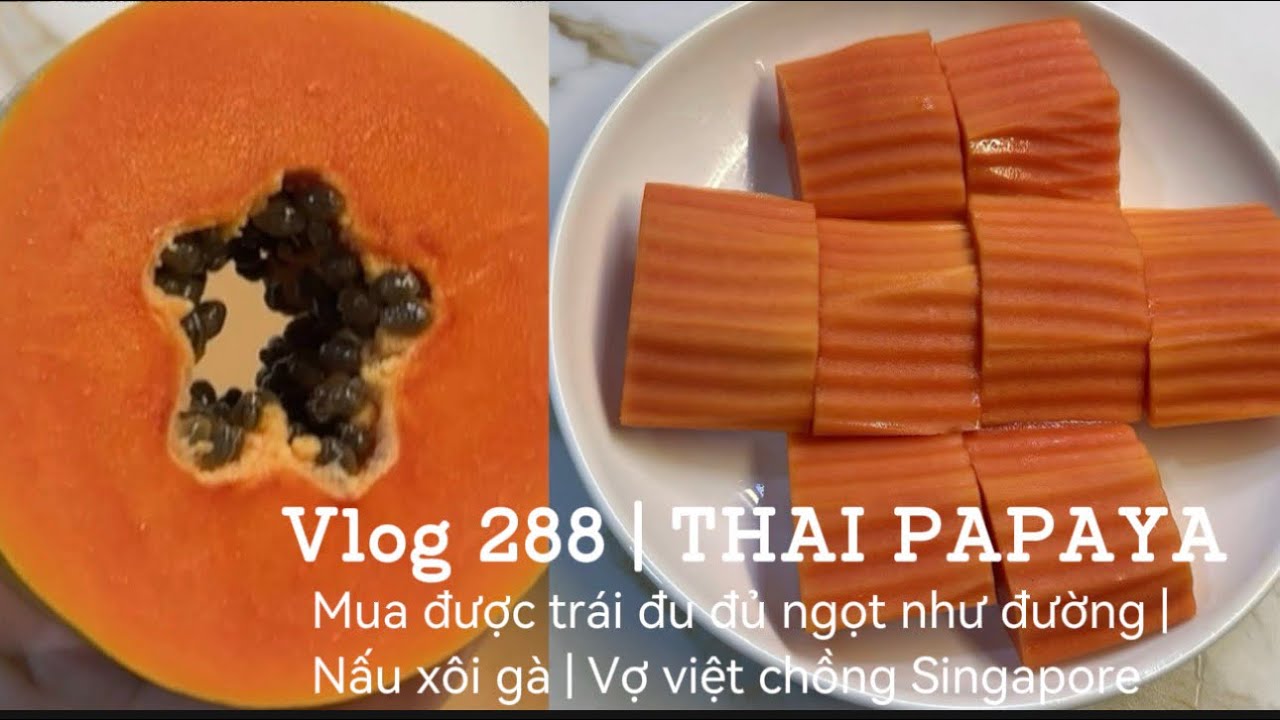 Vlog 288 | Mua được trái đu đủ ngọt như đường | nấu xôi gà | vợ việt chồng Singapore 