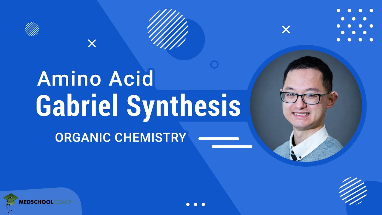Gabriel Synthesis of Amino Acids | MCAT Organic Chemistry Prep