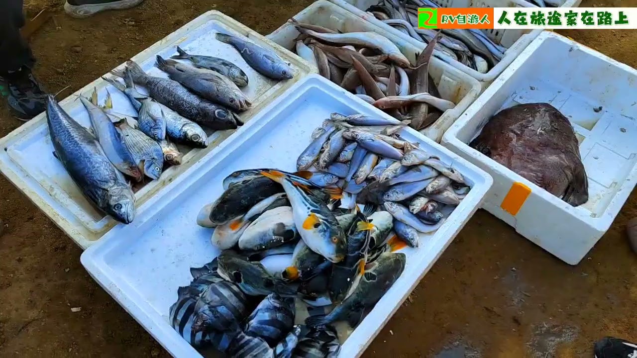 我们继续在山东海阳赶大集，自由的空气，自由的市场&hellip;&hellip;