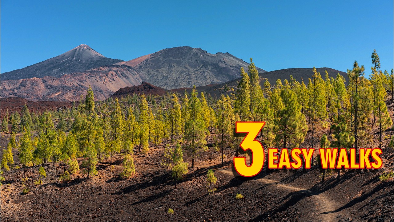 3 BEST EASY WALKS IN TENERIFE (No Experience Needed!)