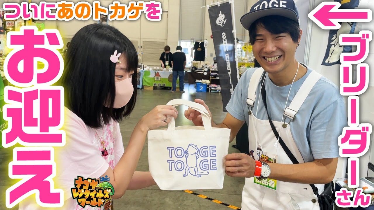 爬虫類イベント🦎ナゴレプ 迷い続けたあのトカゲについに手を出す!?ナゴヤレプタイルズワールド2025 フトアゴヒゲトカゲ