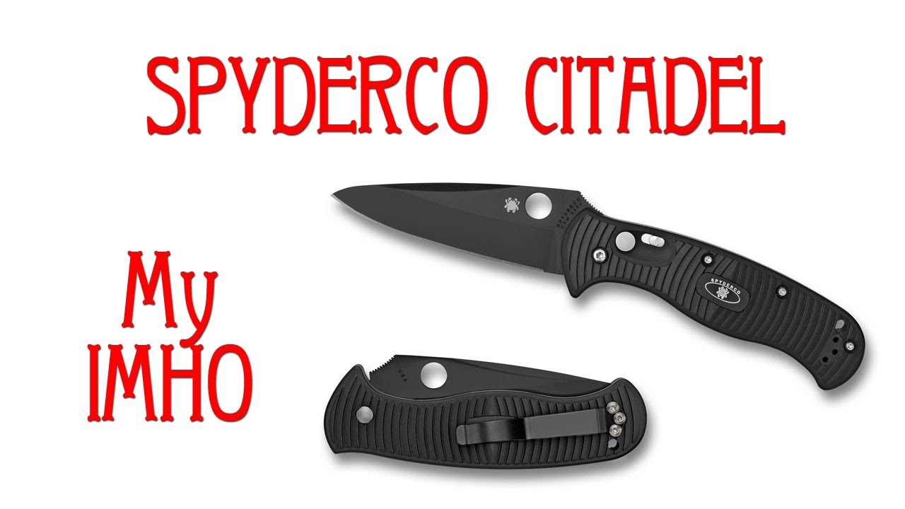 SPYDERCO CITADEL. My IMHO...
