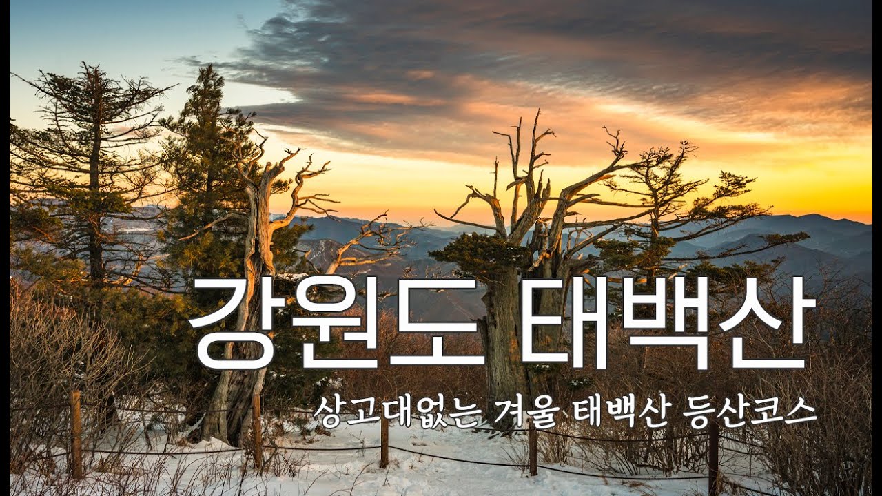 강원도 태백 태백산 상고대 보러 갔는데 일출만 보고 왔어요.