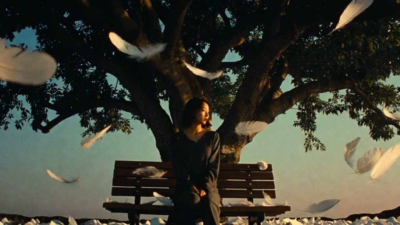 감성 힙합 R&B · 모든 걸 기억하는 나무처럼 | 지워도 남는 문장