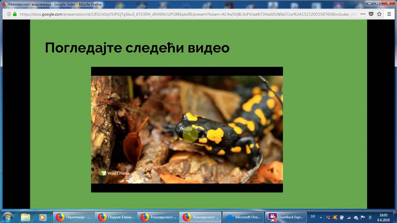 v vodozemci