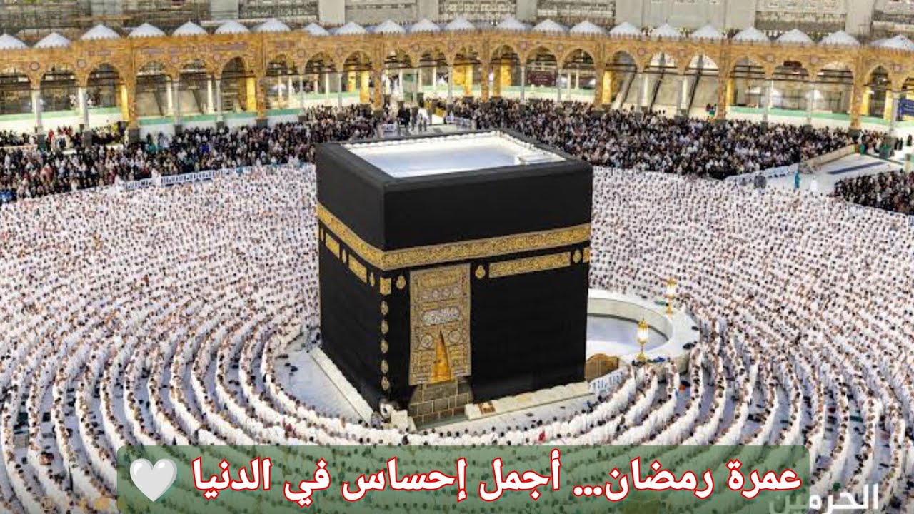 #رحلة_العمرة في #رمضان | أجمل إحساس عند زيارة #بيت_الله_الحرام 🌙