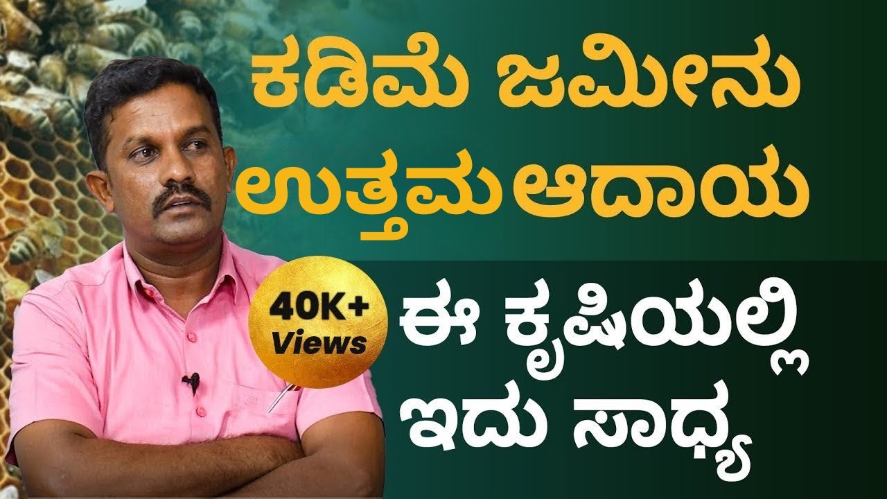 How to Start Honey Bee Farming? - Successful Honey Bee Farming | Profitable Honey Bee Farming