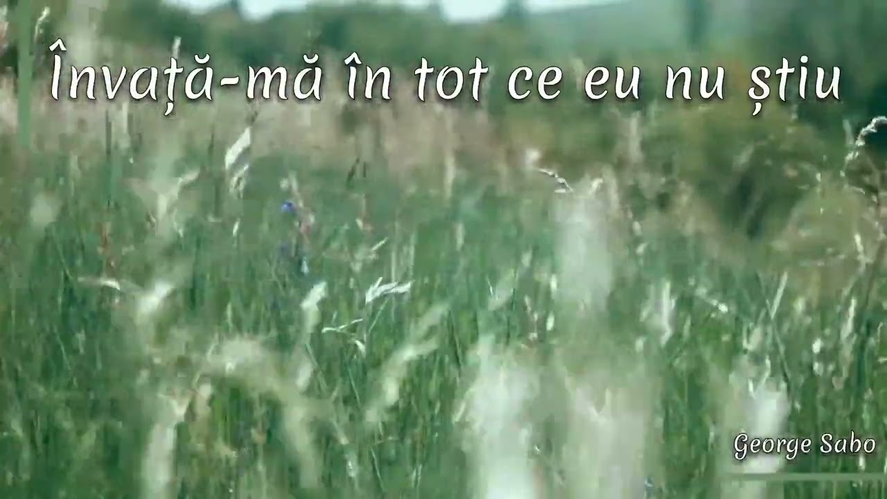 &Icirc;nvață-mă &icirc;n tot ce eu nu știu  - George Sabo