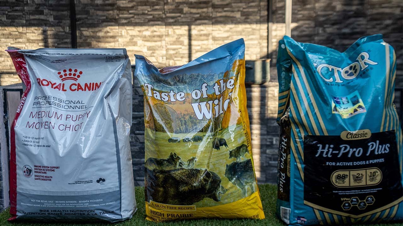 ¿Cual es la mejor croqueta (2022) para mi AMERICAN BULLY?