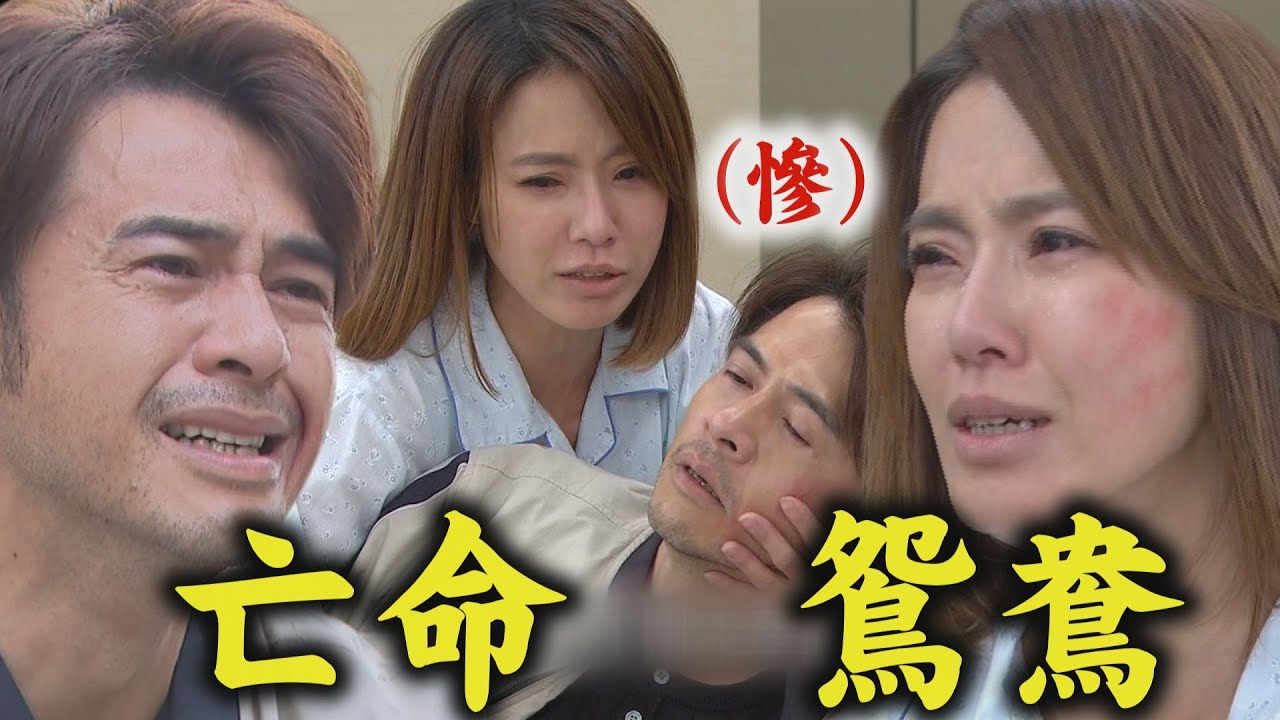 【天道】子茜愛到走火入魔!東俊大報應..得知失去寶寶再度崩潰 雅潔.麗萍現身指控運金送鴛鴦入獄│天道週記│完全娛樂