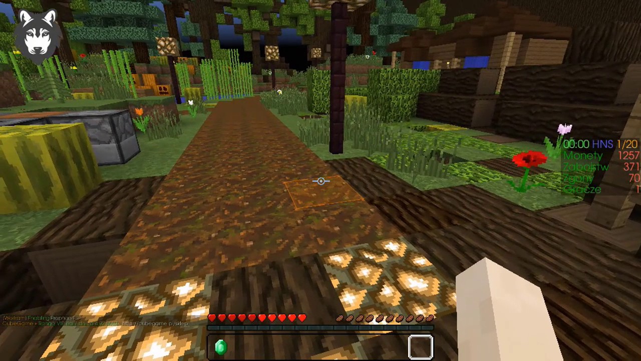 ★ CHEATY NA KT&Oacute;RYCH WIDAĆ OSOBY NA HNS! ★ DOWNLOAD! ★