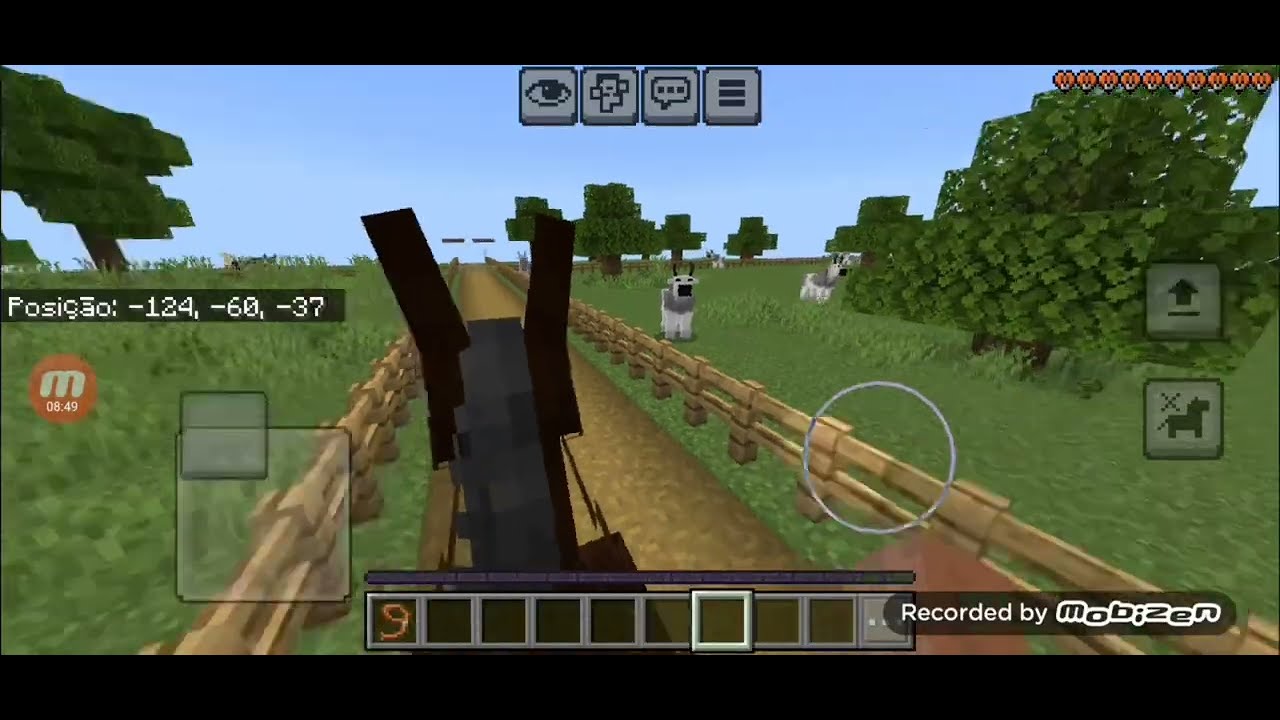 Mais novidades da fazenda & Mexendo com gado ! !