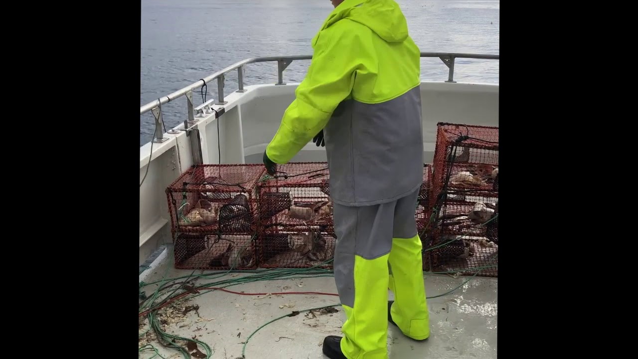 Krepsefiske p&aring; SIWA
