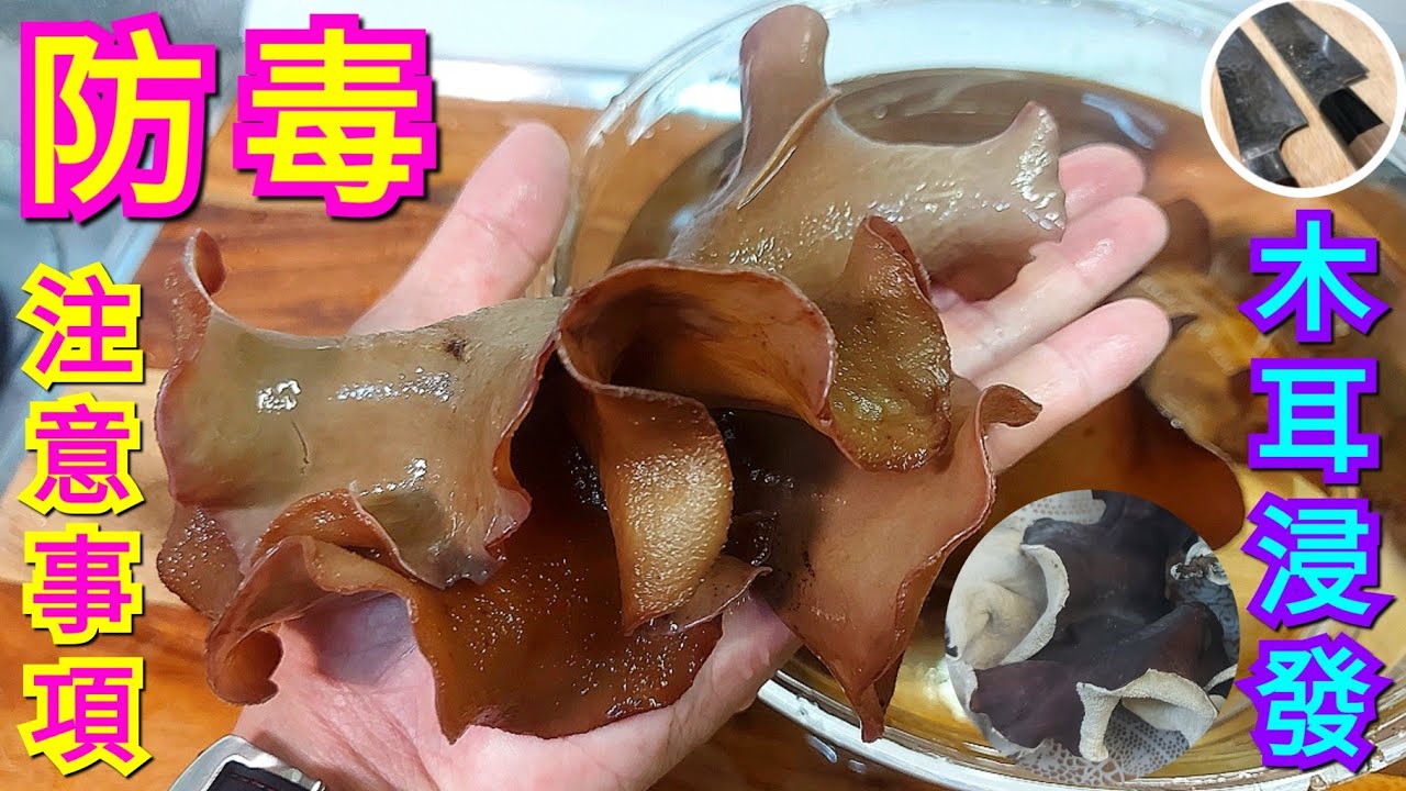 【木耳浸發】最怕不是吃蟲卵‼️乾淨衛生防中毒⭐️預防細菌變病毒⚠️傷內臟‼️認識多啲更安心丨1小時拍攝浸發過程變化