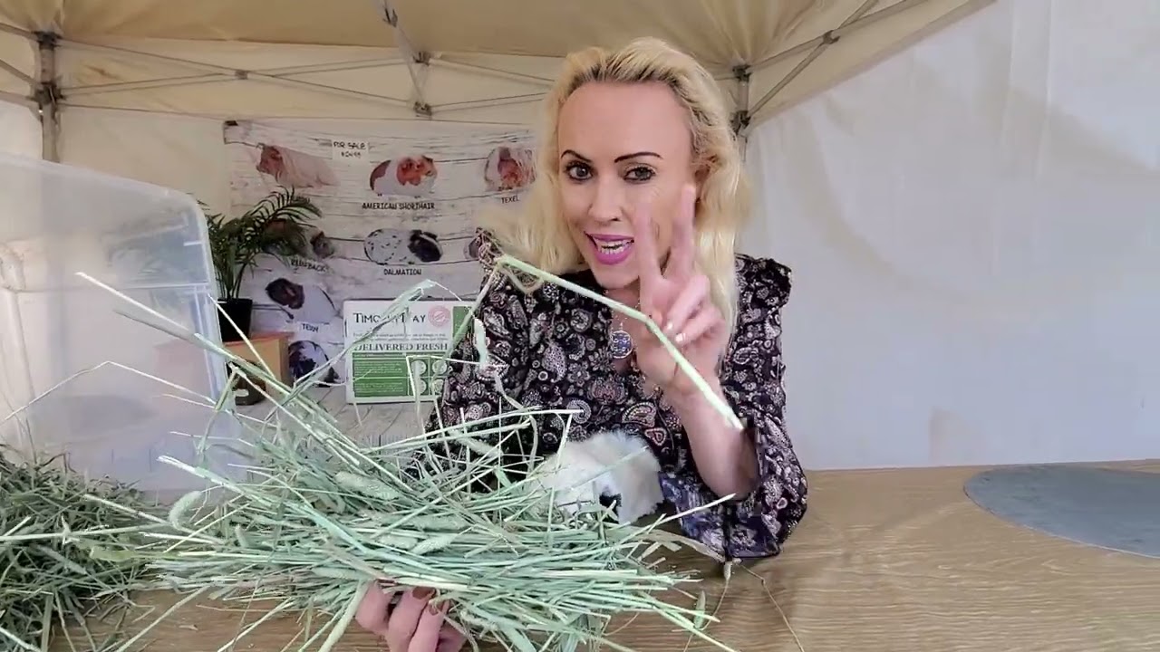How Much Hay to Feed Your Guinea Pig