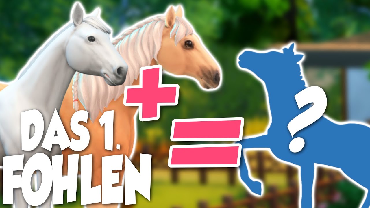 Unser 1. FOHLEN ist da!!😍 🐴 Neues von Gut Seeblick