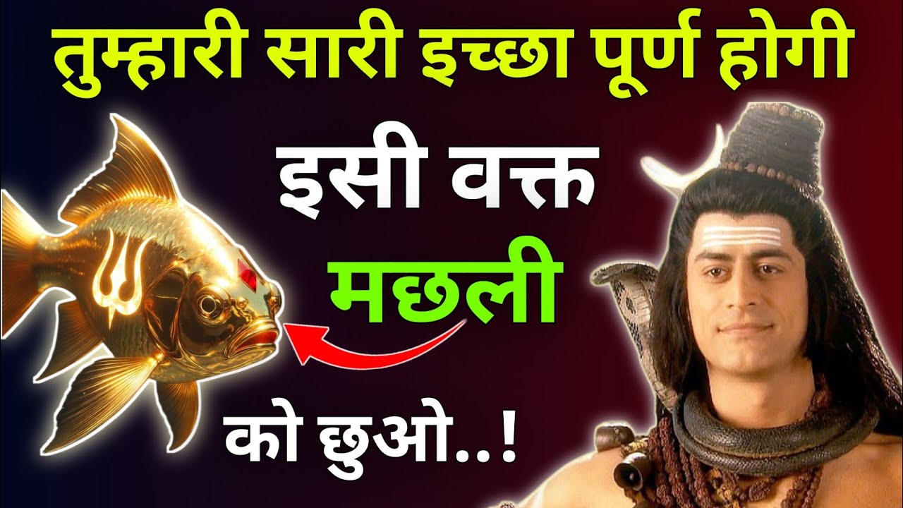 तुम्हारी सारी इच्छा पूर्ण होगी इसी वक्त मछली को छुओ |Mhadev Updesh |Mhadev Vichar |Mhadev Gyan 