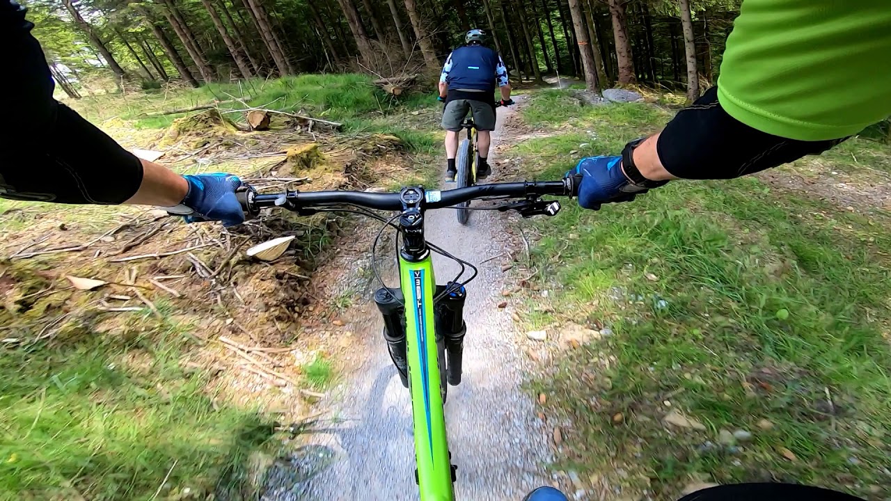 Natural and Coillte Trails in the Slieve Blooms with Rob