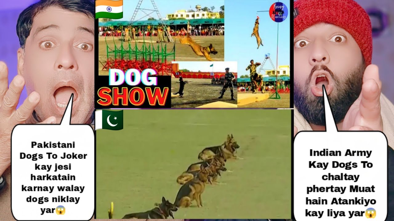 Indian Army Dogs Dangerous Training Vs Pakistani Army Dogs Joker Type Training | Pakistani Reacts