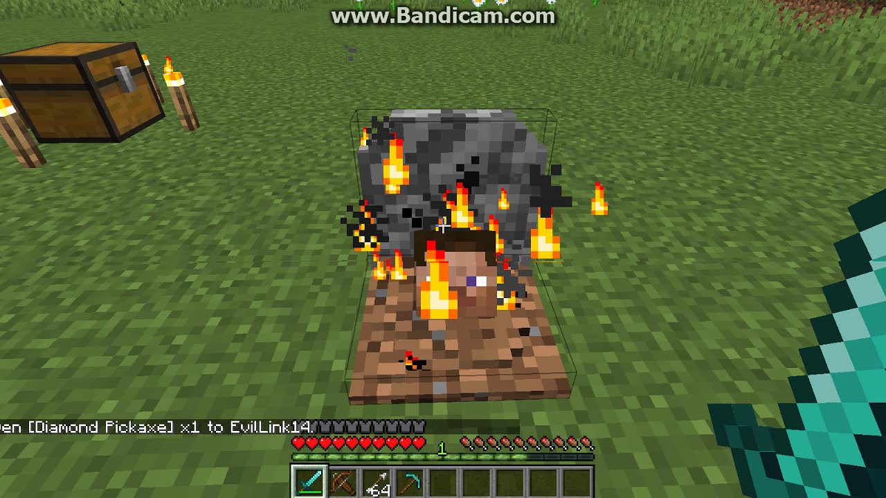 Player Graves 19w08b 1.14 Snapshot Fabric Mod Overview