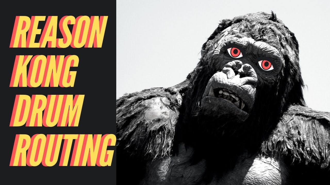 Учебное пособие по маршрутизации Reason Kong (подключение площадок, внешняя маршрутизация и эффекты)