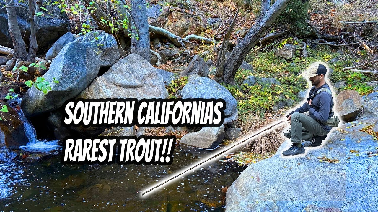 Remote TROUT Fishing in Southern California!
