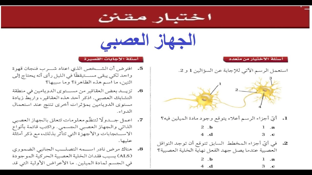 حل الاختبار المقنن باب ( الجهاز العصبي )