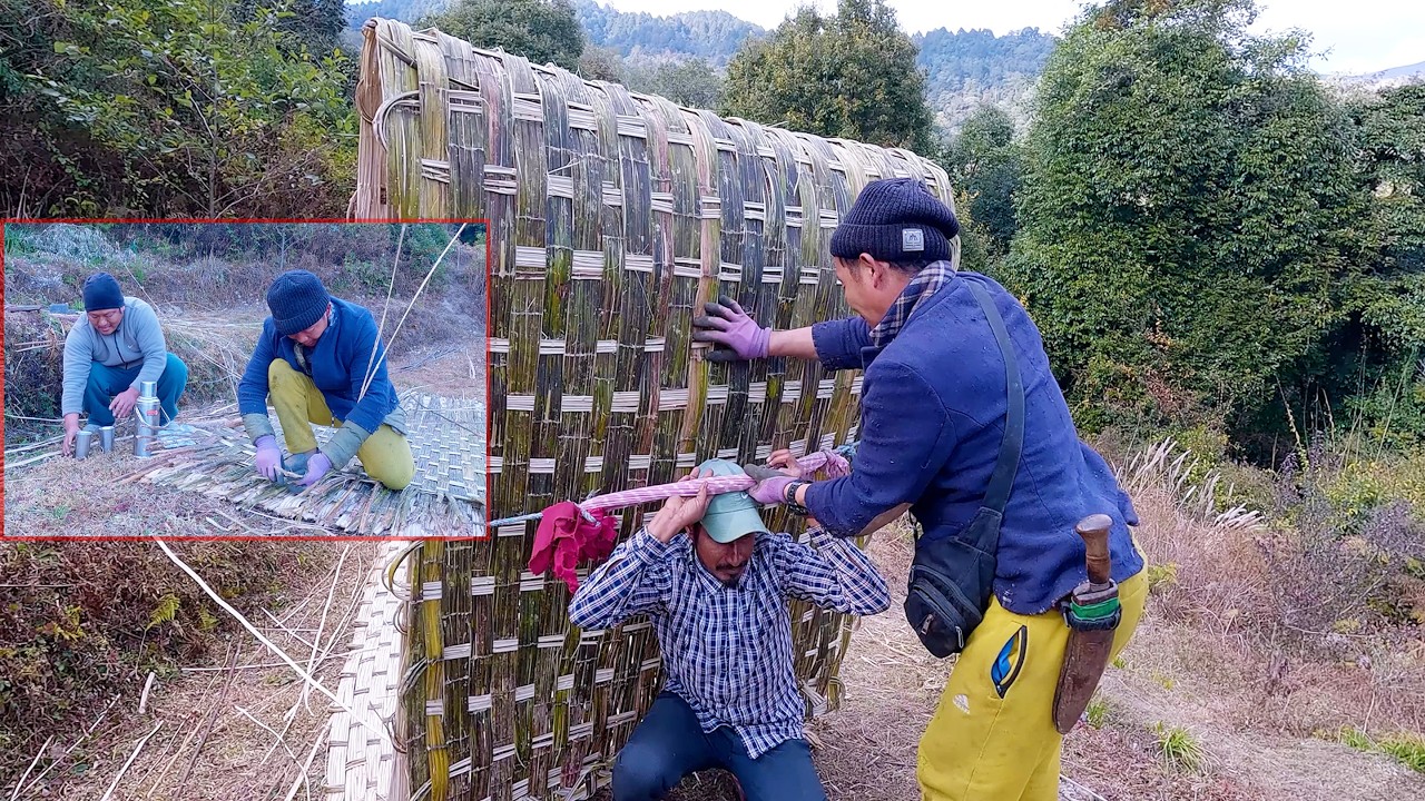 Shyal kaka ( FOX uncle ) is helping to bhumi || life in rural Nepal ||