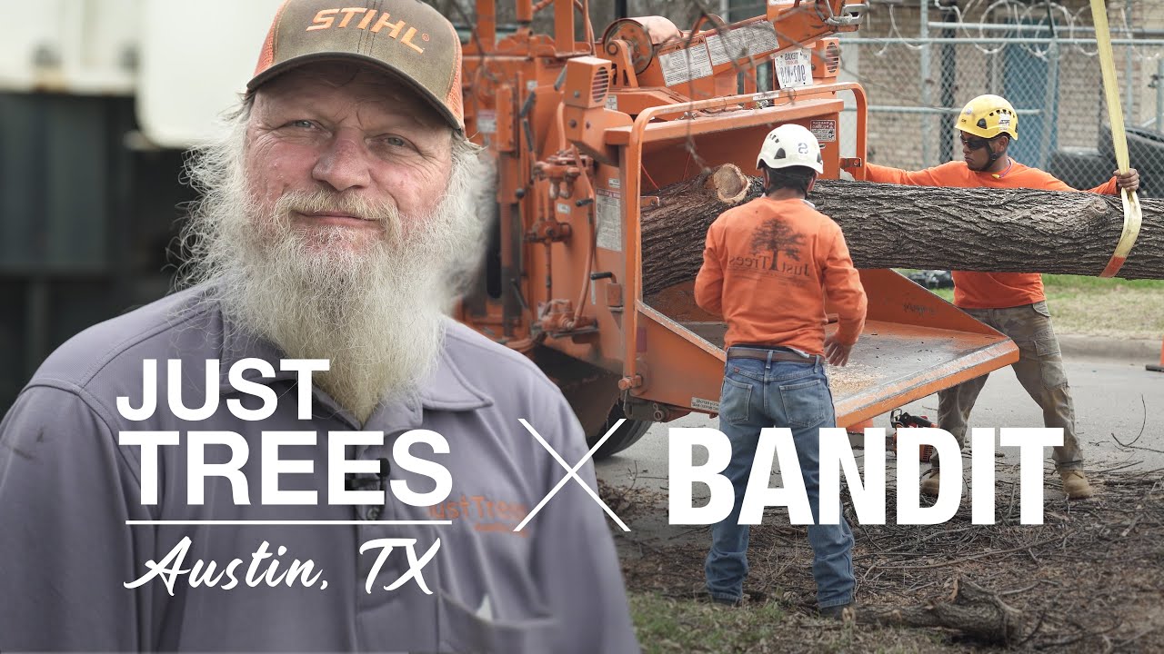 BANDIT & Just Trees (Austin, TX): HIGH RISK Crane Tree Removal with the Bandit INTIMIDATOR 18XP