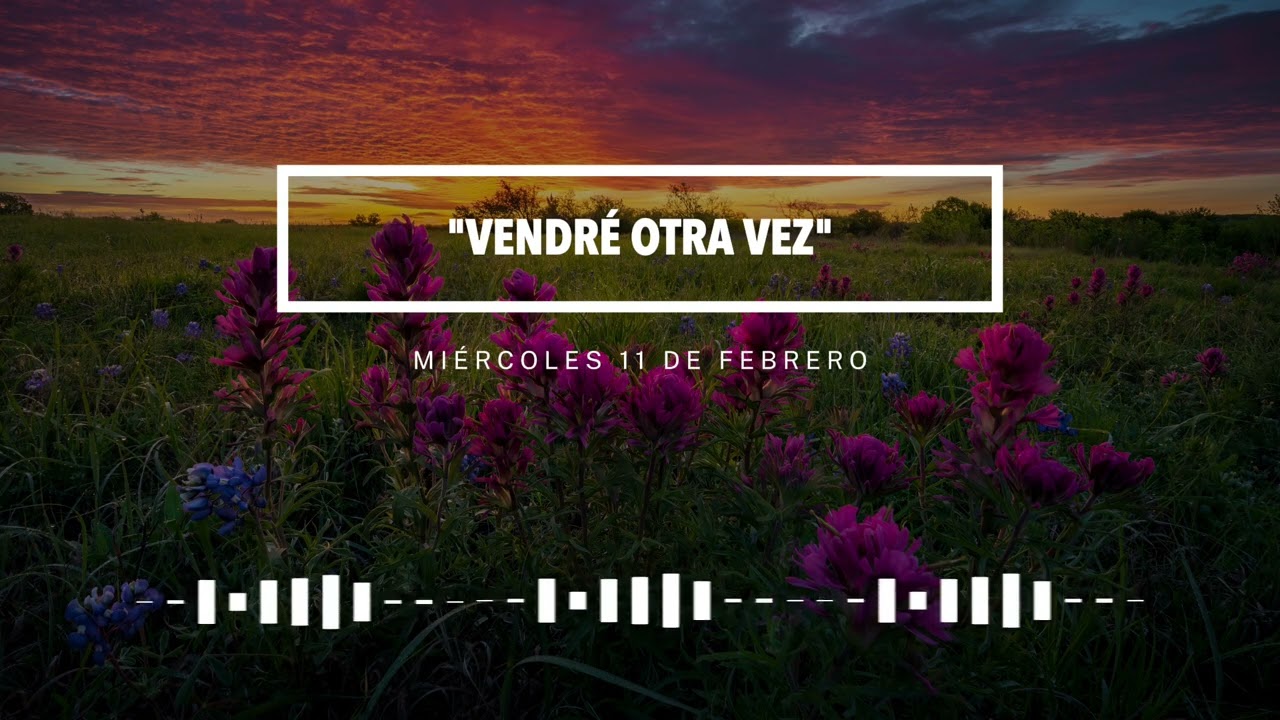 Miércoles 11 de febrero: 