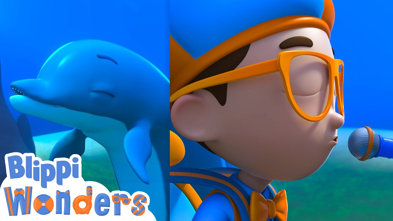 Blippi learns to speak with Dolphins! | Blippi Wonders Educational Videos for Kids