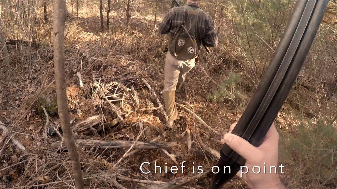 Virginia Grouse Hunt