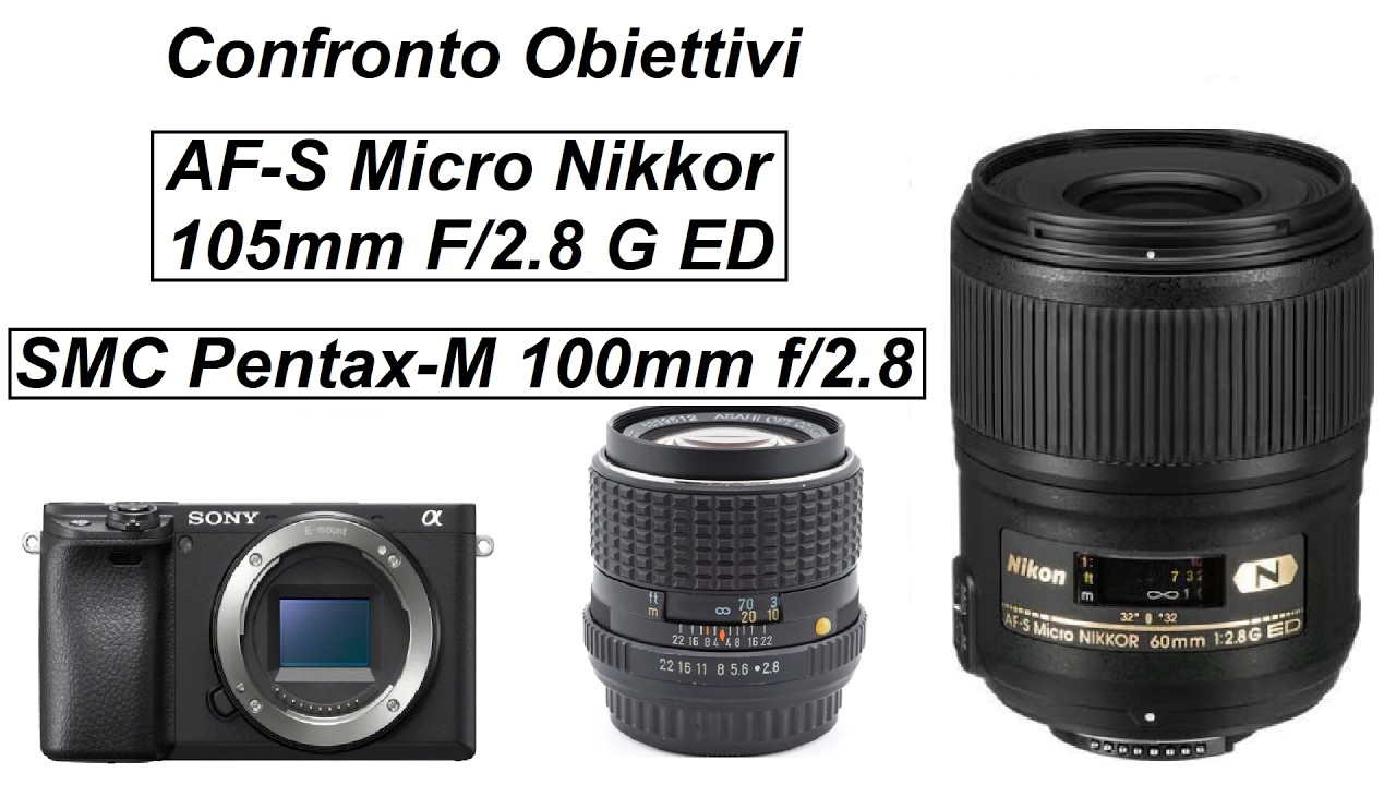 Test obiettivi: AF-S Micro Nikkor 105mm F/2.8 G ED - SMC Pentax-M 100mm F/2.8