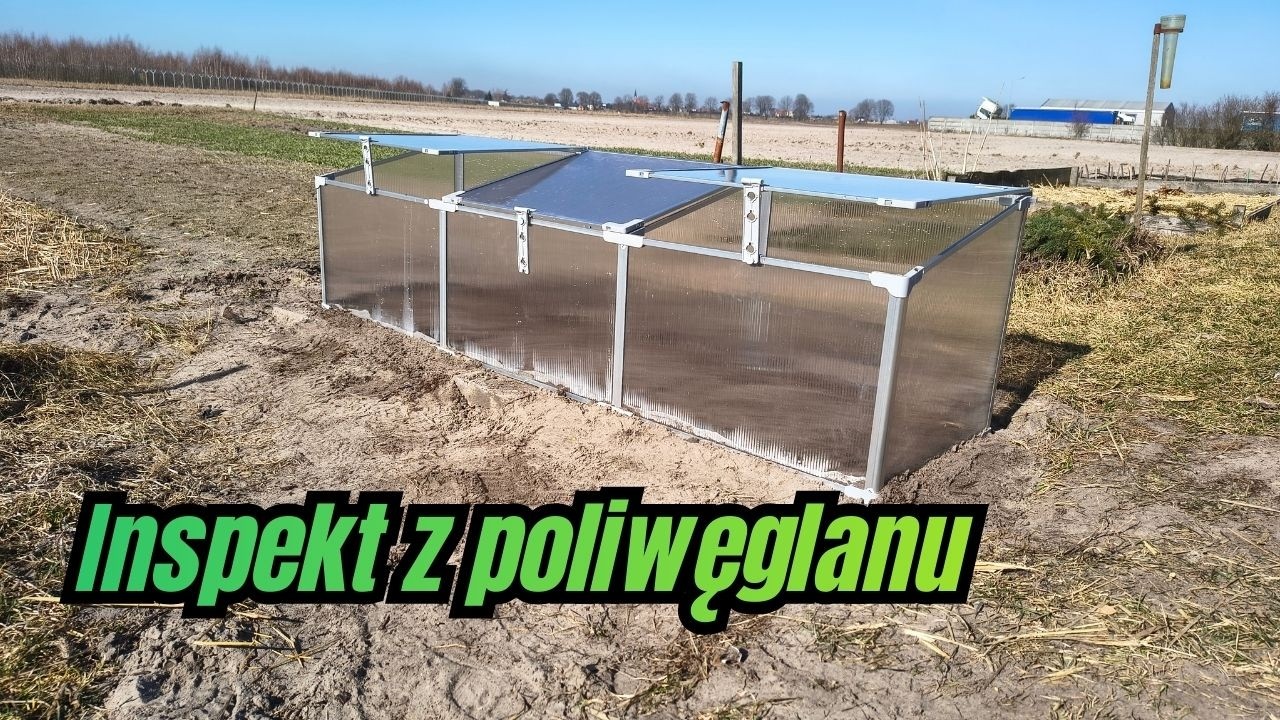 Inspekt z poliwęglanu. Jak i gdzie ustawić inspekt w ogrodzie (ważne strony świata🌐)